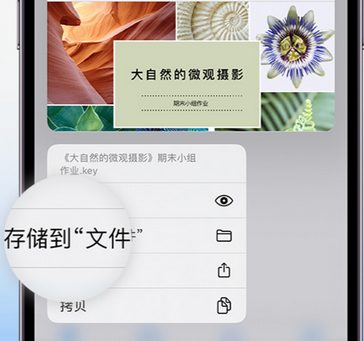 台江apple维修中心分享iPhone文件应用中存储和找到下载文件