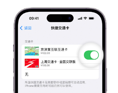 台江apple维修点分享iPhone上更换Apple Pay快捷交通卡手绘卡面 