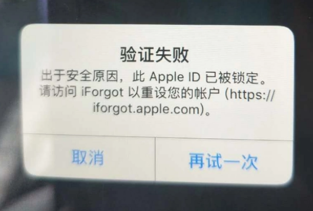 台江iPhone维修分享iPhone上正常登录或使用AppleID怎么办 