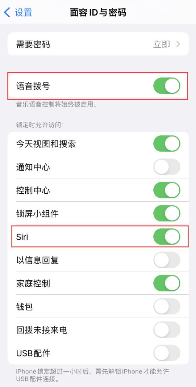 台江苹果维修网点分享不解锁 iPhone 的情况下通过 Siri 拨打电话的方法 