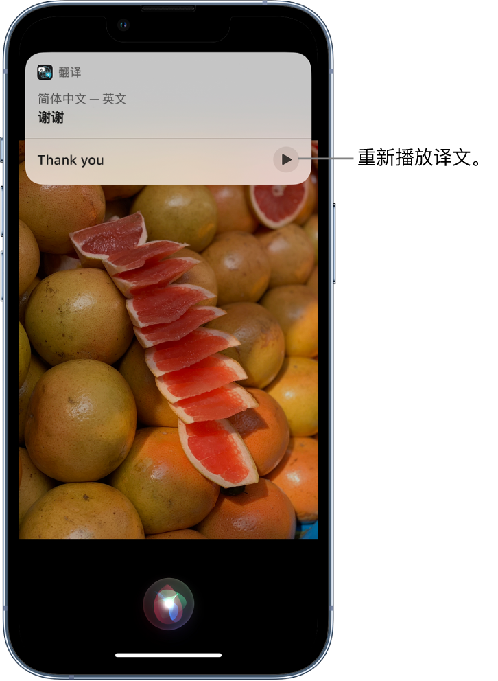 台江苹果14维修分享 iPhone 14 机型中使用 Siri：了解 Siri 能帮你做什么 