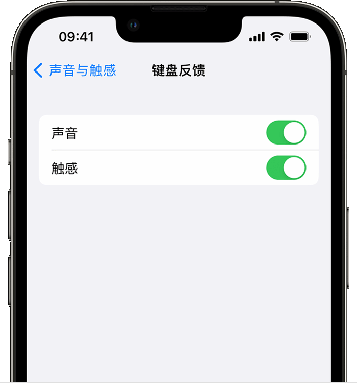 台江苹果14维修分享iPhone 14 系列机型如何开启键盘声音或触感反馈 