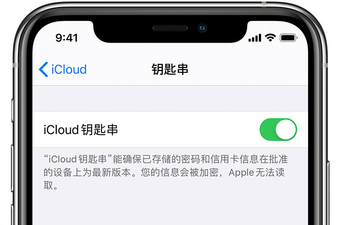 台江苹果手机维修分享在 iPhone 上开启 iCloud 钥匙串之后会储存哪些信息 