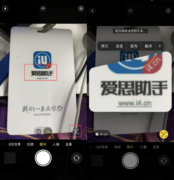 台江苹果手机维修分享升级iOS 16后如何通过相机翻译文本 