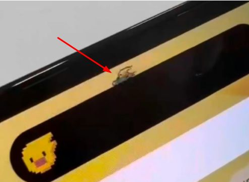 台江苹果14维修分享iPhone 14 Pro Max灵动岛怎么养宠物 