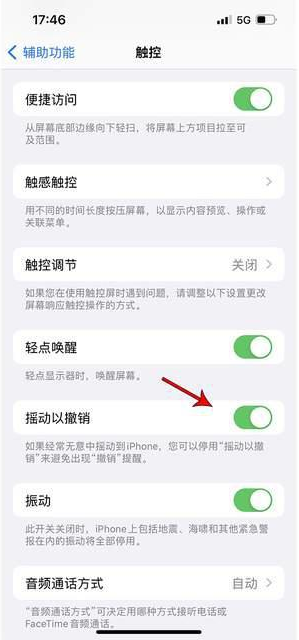 台江苹果手机维修分享iPhone手机如何设置摇一摇删除文字 