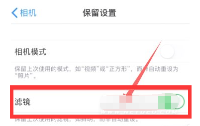 台江苹果13维修分享iPhone13拍照有绿点是怎么回事 