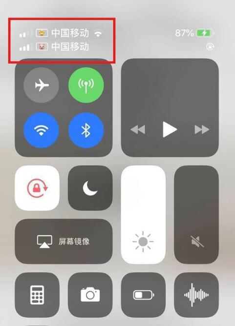 台江苹果手机维修分享为 iPhone 12 双卡设置标签 